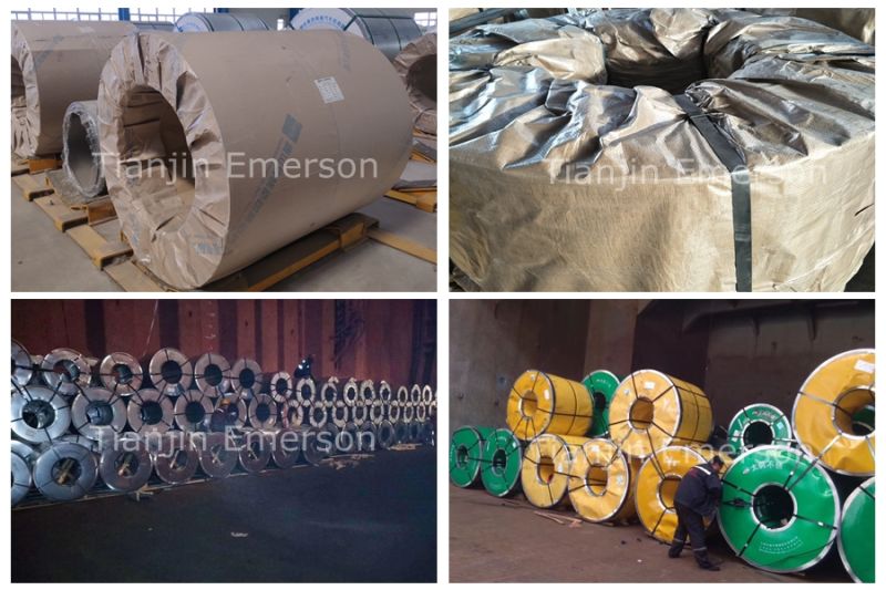 Ss400 Q235 Q345 Ms Sheet Metal Carbon Steel Plate Hot Rolled Alloy Steel Coil/Strip/Sheet