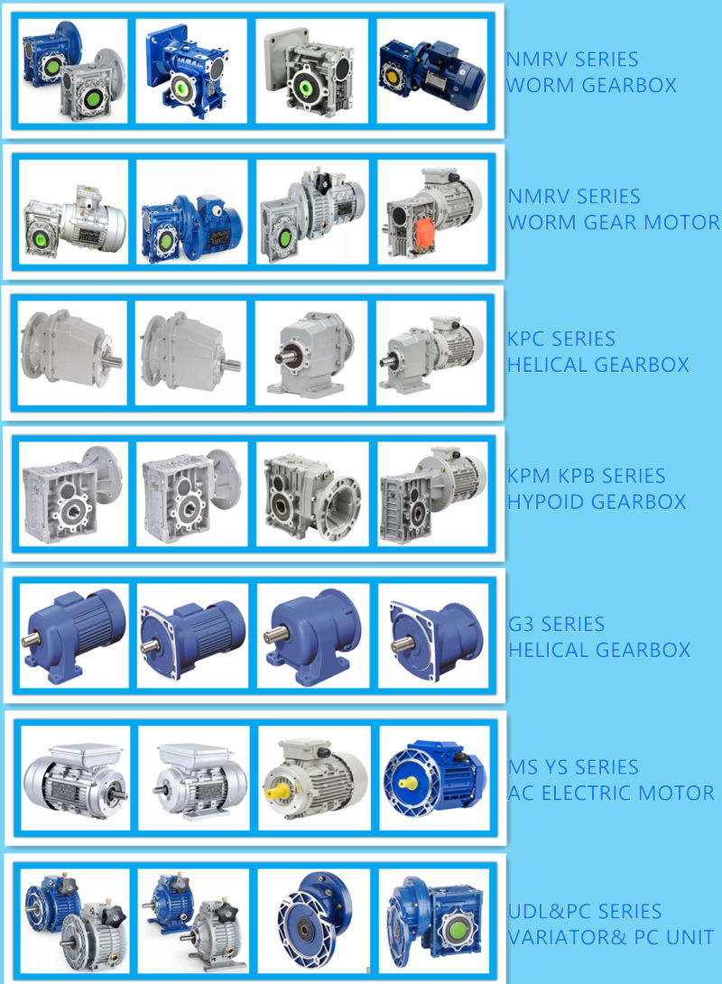 Precise Grinding Gearbox Helical Worm Gear Reducer with Tin Bronze