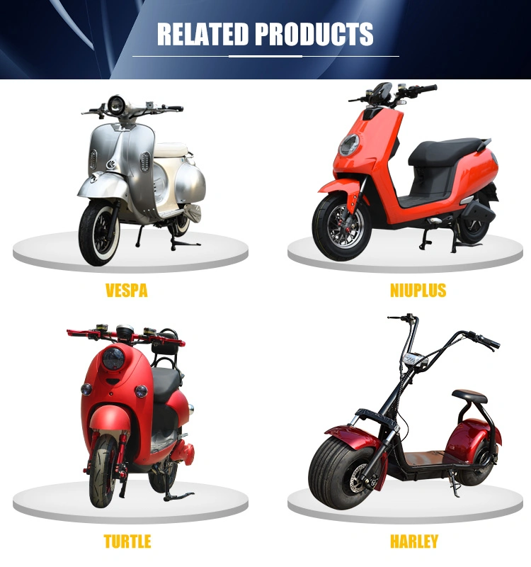 2019 Two Wheel 1000wsmart Min Electric Scooters Electric Scooter