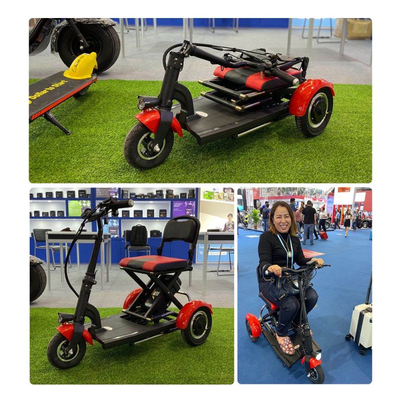 2020 New Design 3 Wheels Handicapped Scooters with Removed Battery