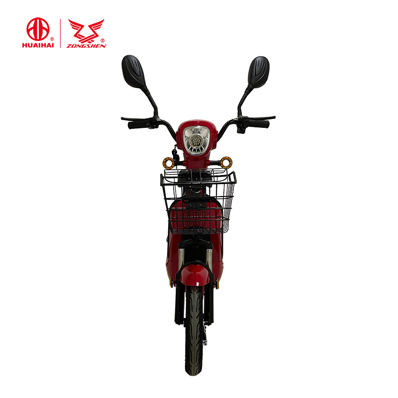 Cheap Scooters Electric with Two Seats Electric Bicycle for