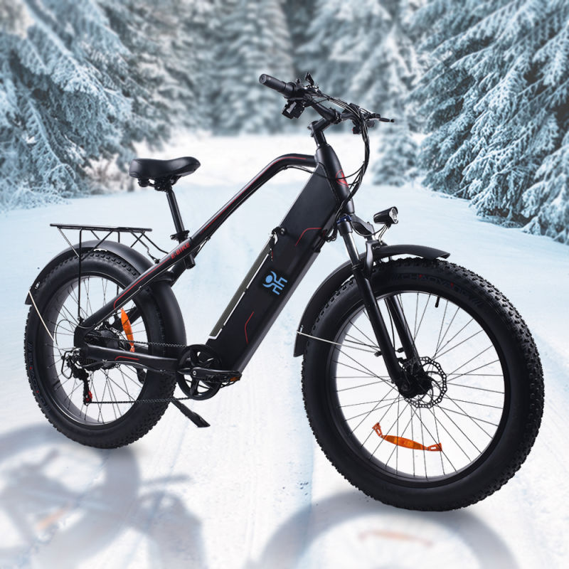 2020 New Style 500W Brushless Motor Mountain Fat Tire Electric Bikes