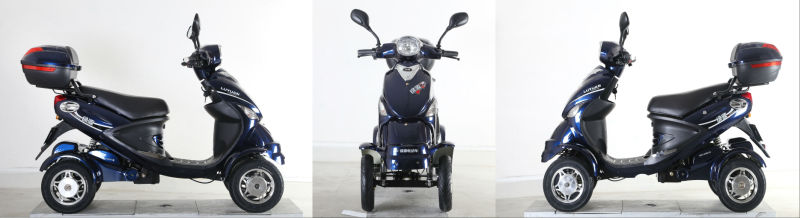 350W Electric Scooter with Four Wheels for Disabled People