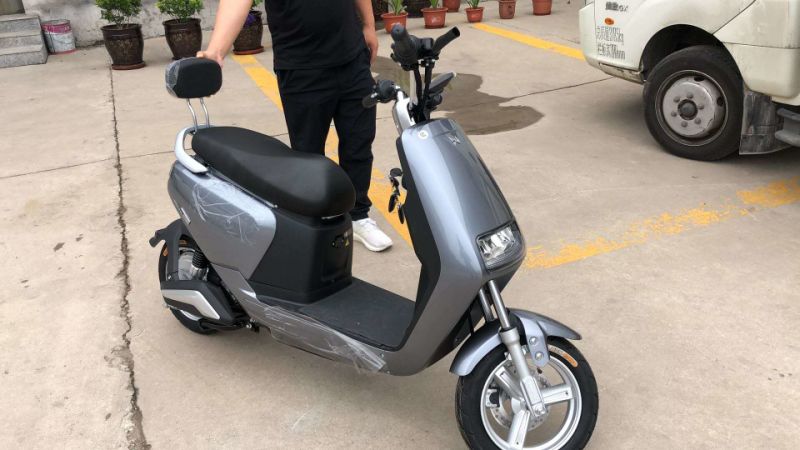 2 Wheels 800W/1000W Adult Electro Scooter Electric Motorcycle