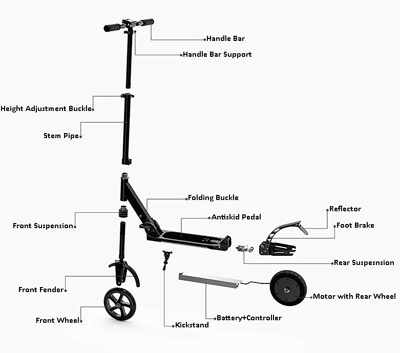 Electric Scooter Motor 150W