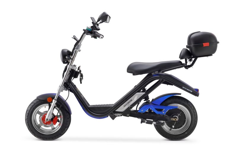 Adult Electric Bike Electric Bicycle E-Scooter Electric Motorcycle Electric Vehicle