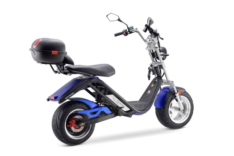 Adult Electric Bike Electric Bicycle E-Scooter Electric Motorcycle Electric Vehicle