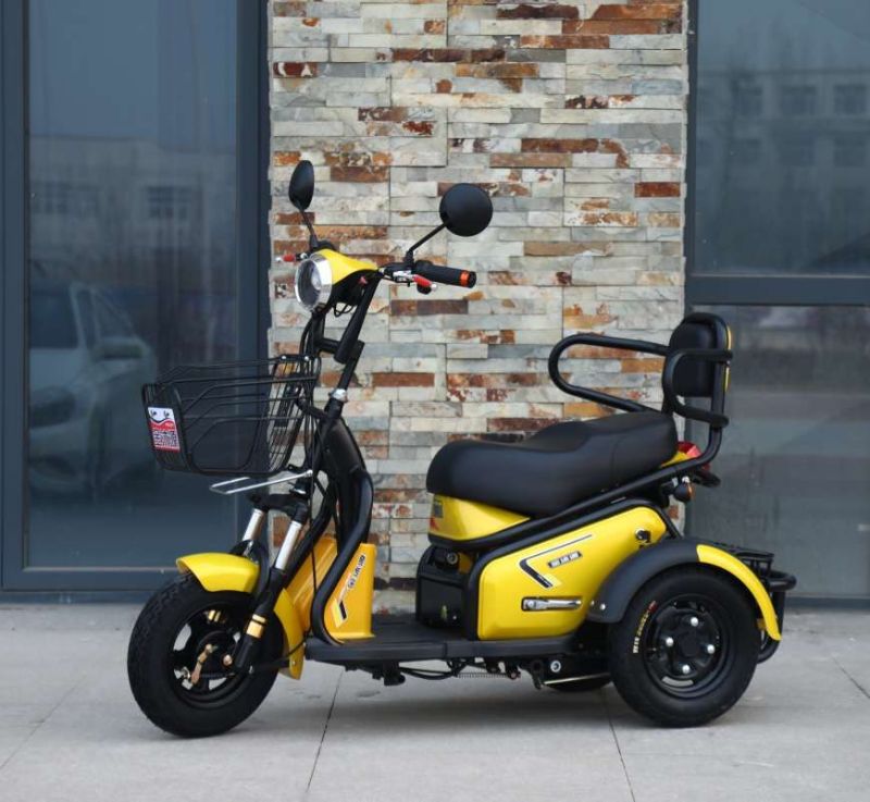 Two Wheel Folding Electric Scooter, Electric Bicycles Eb003