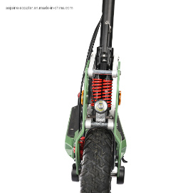 10 Inch 48V Electric Scooter Electric Scooter 500W Scooters and Electric Scooters