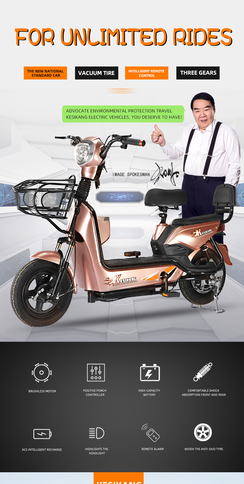 Bike	Electric Bicycle Foldable	Rechargeable Bicycle Bicicleta Electrica Electric Bike