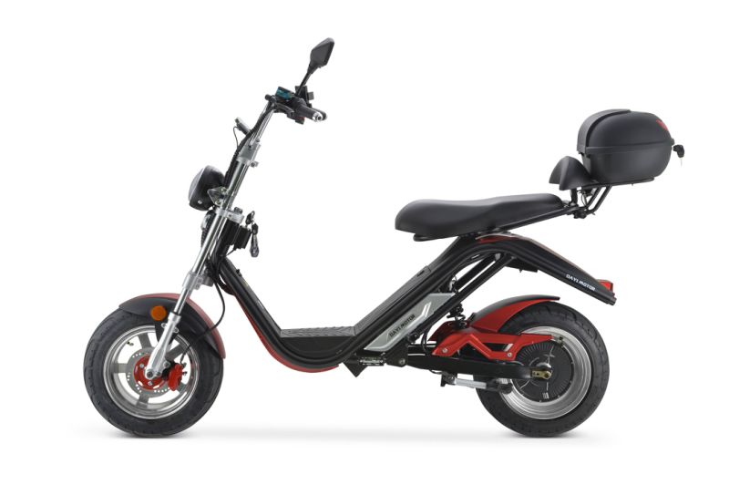 Adult Electric Bike Electric Bicycle E-Scooter Electric Motorcycle Electric Vehicle