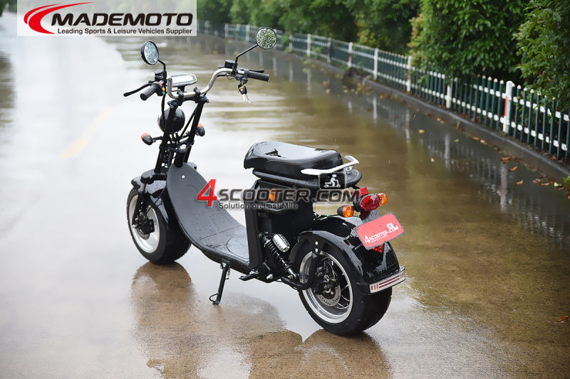 2020 New Hot Selling Heavy Load Citycoco Scooter Electric Motorbike