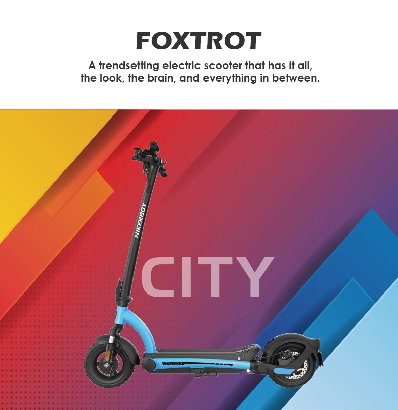 Newest 350W City Commuting Mobility Scooter 10.4ah Lithium Battery 2 Wheels Foldable Electric Scooter