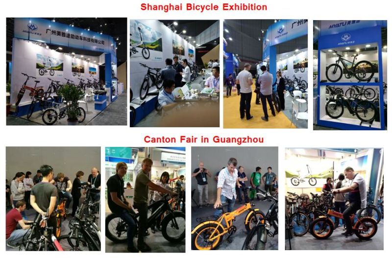 Ce Electric Small Folding Ebike Electric Bike / Bicycle