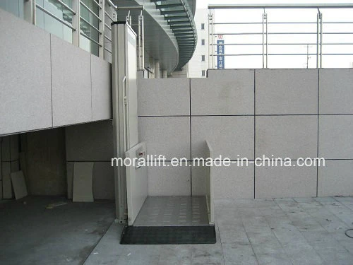 Vertical Small Home Stair Climbing Elevator Lift Price