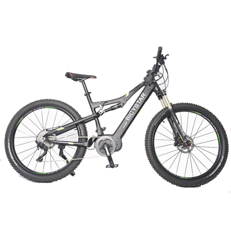 Cheap Electric Bike/Cool Electric Bike/E Bike Electric Bicycle