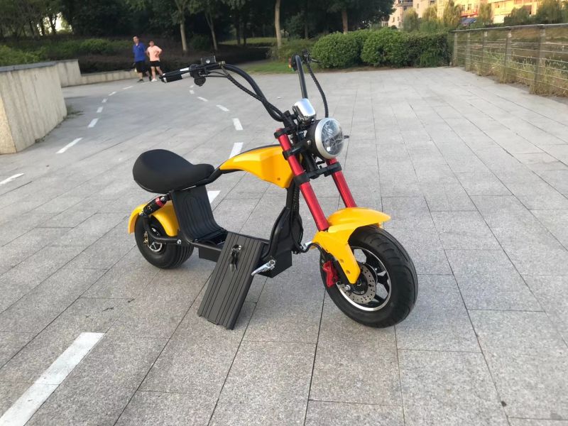 Newest Electric Scooter 1000W 25 Km/H Scooter Electric Seat Cicycoco Electric Scooter