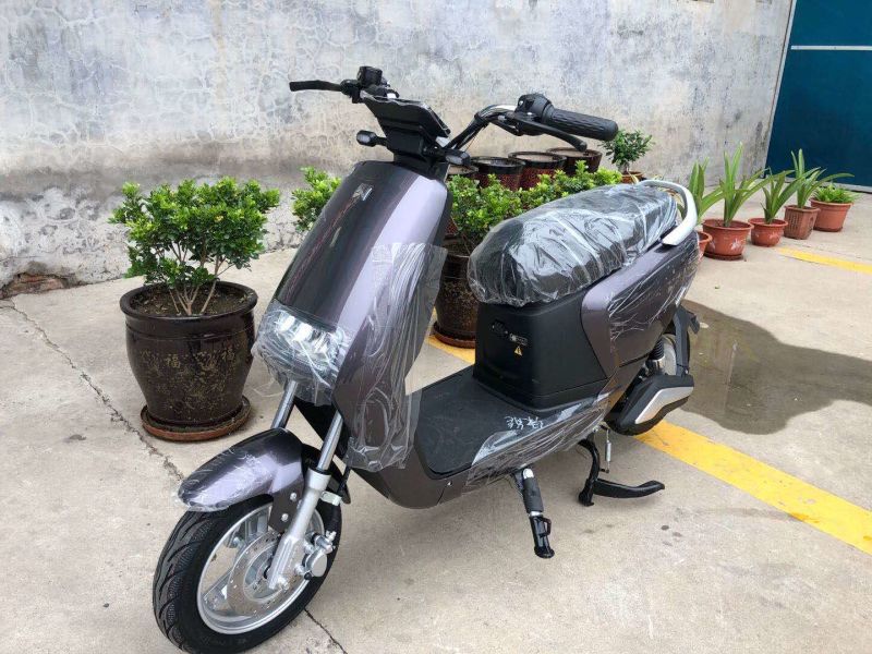 2 Wheels 800W/1000W Adult Electro Scooter Electric Motorcycle