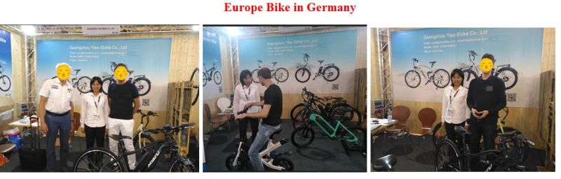 Ce Electric Small Folding Ebike Electric Bike / Bicycle