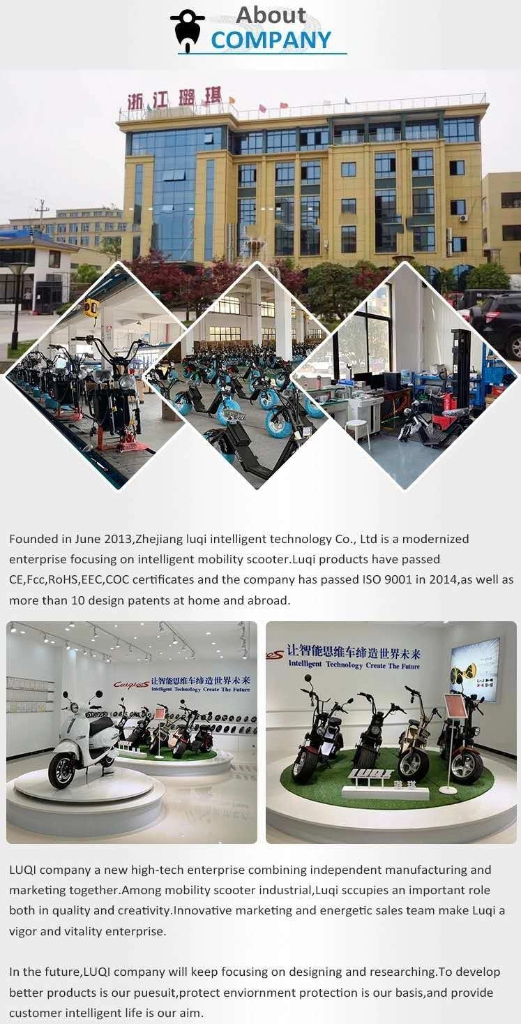 2020 New Quick Moving 12inch Strong Form Electric Scooter Cycle Electric Bike Foldable Portable for Adult