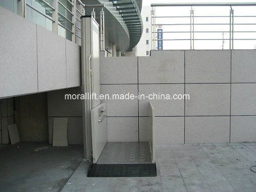 Hydraulic Vertical Disabled Wheelchair Man Lift