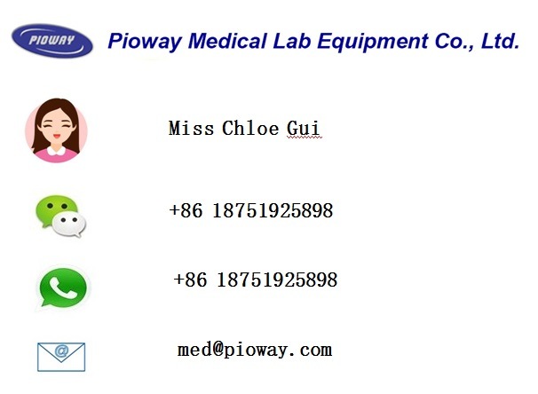 Folding Manual Wheelchair / Hospital Wheelchair (RJ-W809)