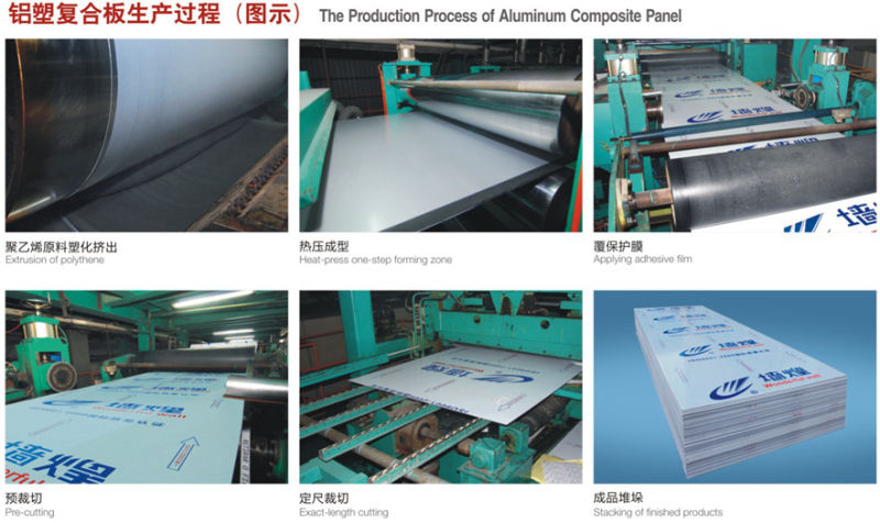 Exterior Advertising Board Aluminum Composite Panel ACP