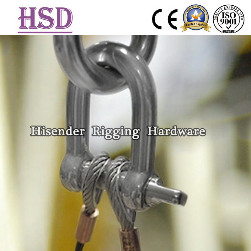 Stainless Steel Shackle, D Shackle, Bow Shackle, Kinds of Types