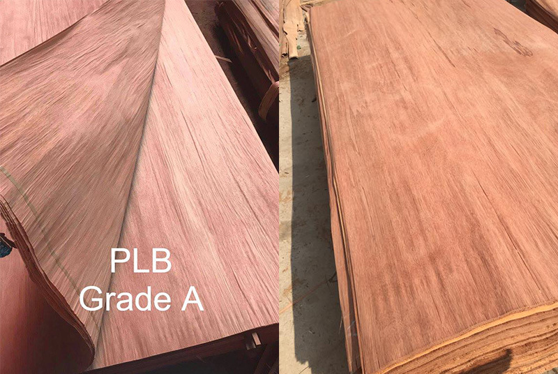 Low Price Factory-Natural Veneer Plb Veneer in 0.55mm