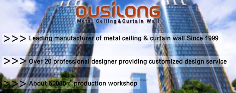 Building Outdoor Wall Cladding Panels Decorative External Aluminium Facade System