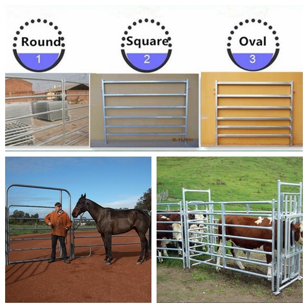 China Hot Sale Cheap Cattle Panels Used Horse Fence Panels Galvanized Corral Panels (XMS28)