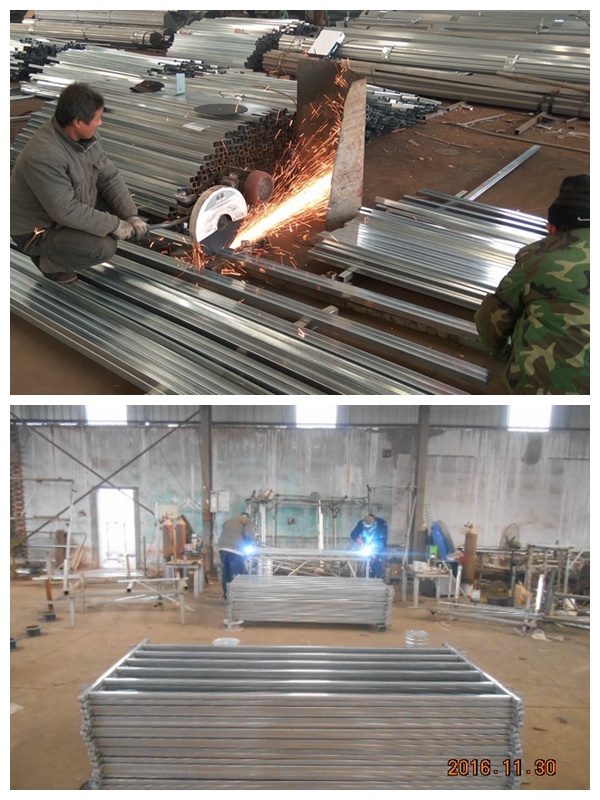 China Hot Sale Cheap Cattle Panels Used Horse Fence Panels Galvanized Corral Panels (XMS28)