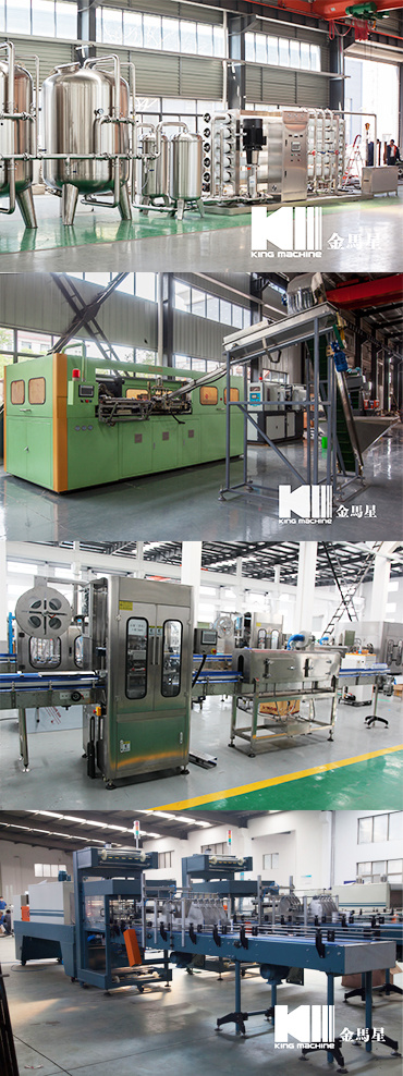 Juice Bottling/Juice Bottling Equipment/Juice Equipment/Juice Factory Equipment