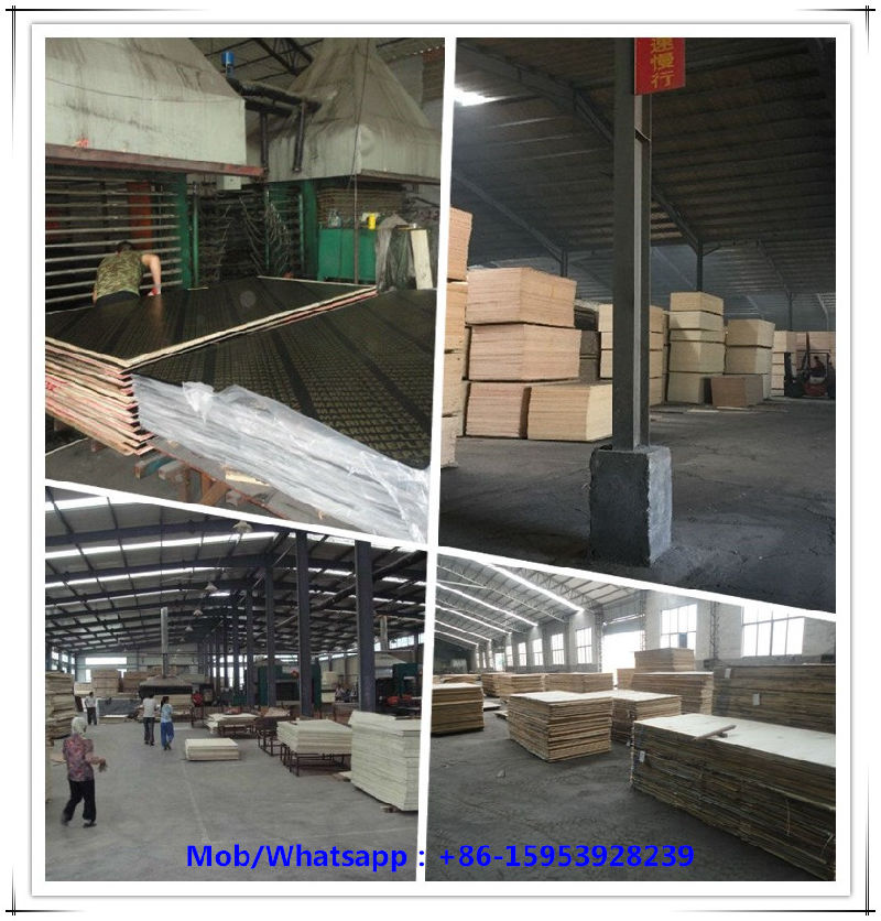 Shuttering Film Face Plywood for Building Construction Materials