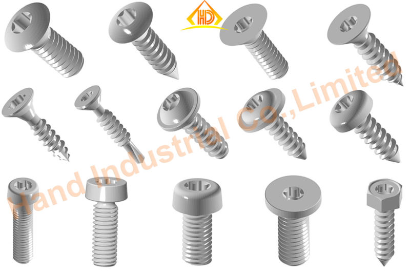 A2-70 A2-80 Stainless Steel Torx Csk Head Security Machine Screw