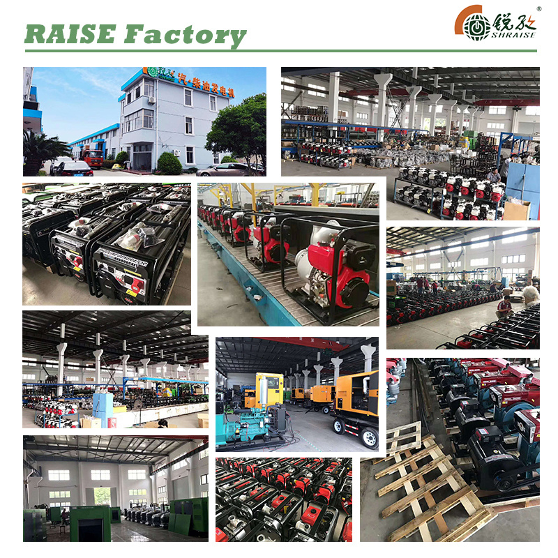 Shanghai Raise Factory Supply 9kVA/7.2kw Electric Start Portable Diesel Generator