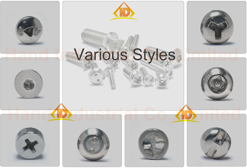 A2-70 A2-80 Stainless Steel Torx Csk Head Security Machine Screw