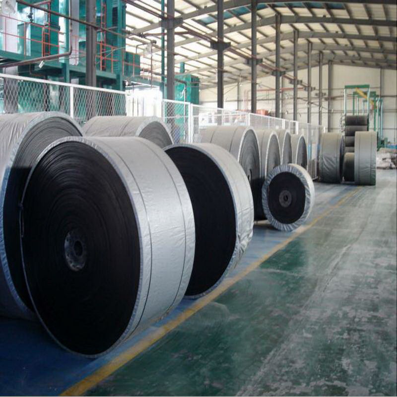 Low Elongation Heat/Fire Resistant Conveyor Belt with Best Price in China