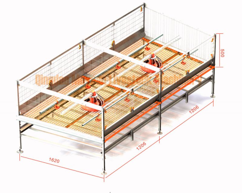 Automatic Chicken Breeding Broiler Poultry Equipment Fro Chicken Rearing