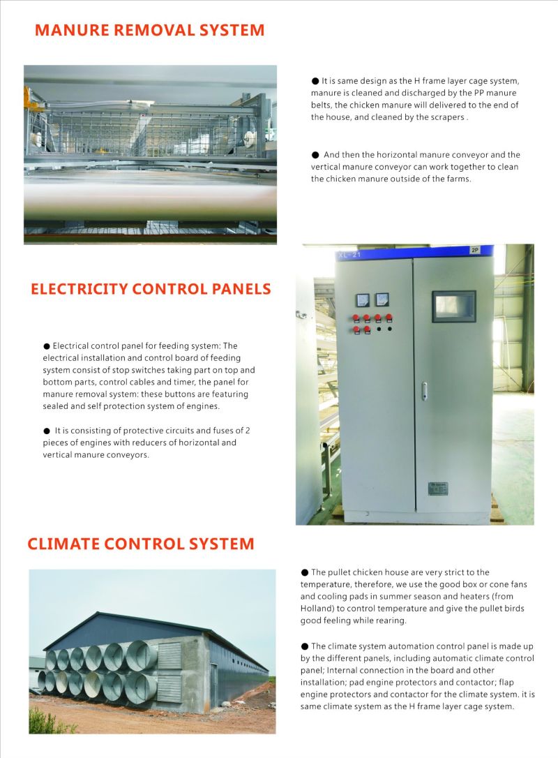 Pullet Cage Chick Cage Poultry Equipment Farm Equipment