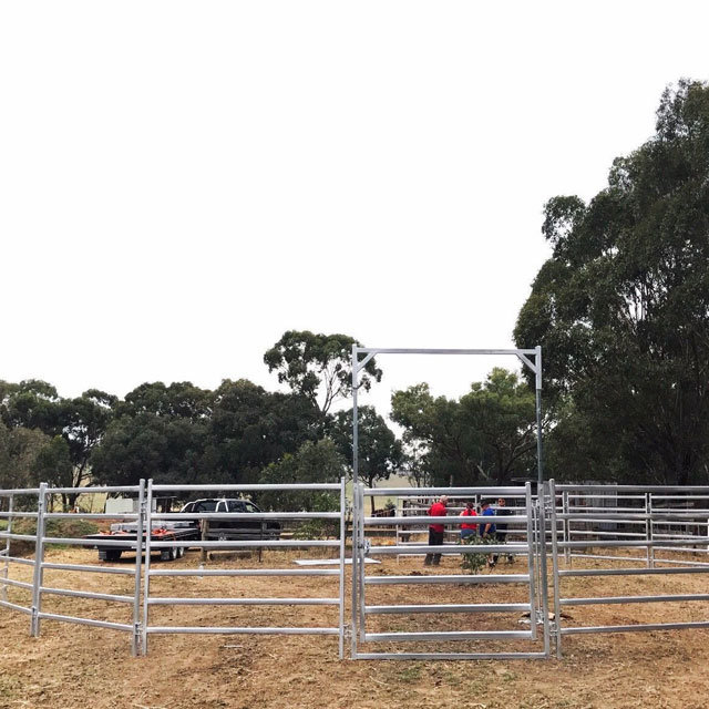 Wholesale Bulk Various Size Popular Livestock Cattle&Bull Panel
