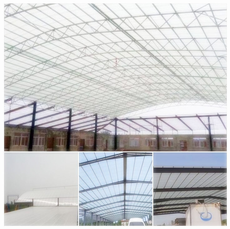 Colorful FRP Transparent Sunlight Roof Sheet in Different Sizes