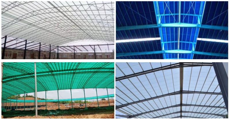 Colorful FRP Transparent Sunlight Roof Sheet in Different Sizes