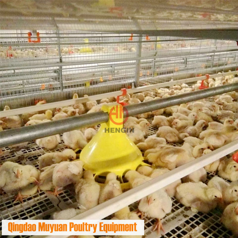 Automatic Chicken Breeding Broiler Poultry Equipment Fro Chicken Rearing