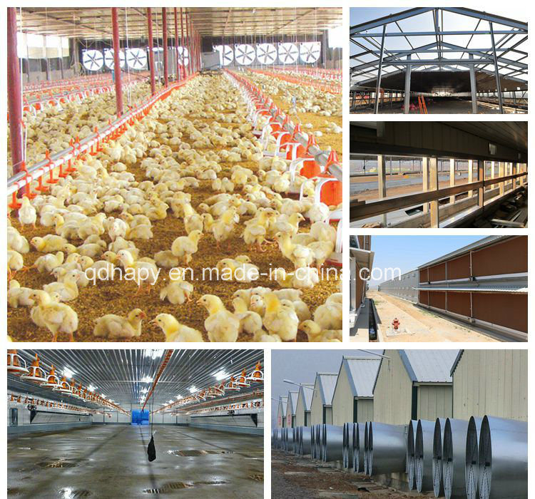 Prefabricated Poultry House with Full Set Poultry Equipment