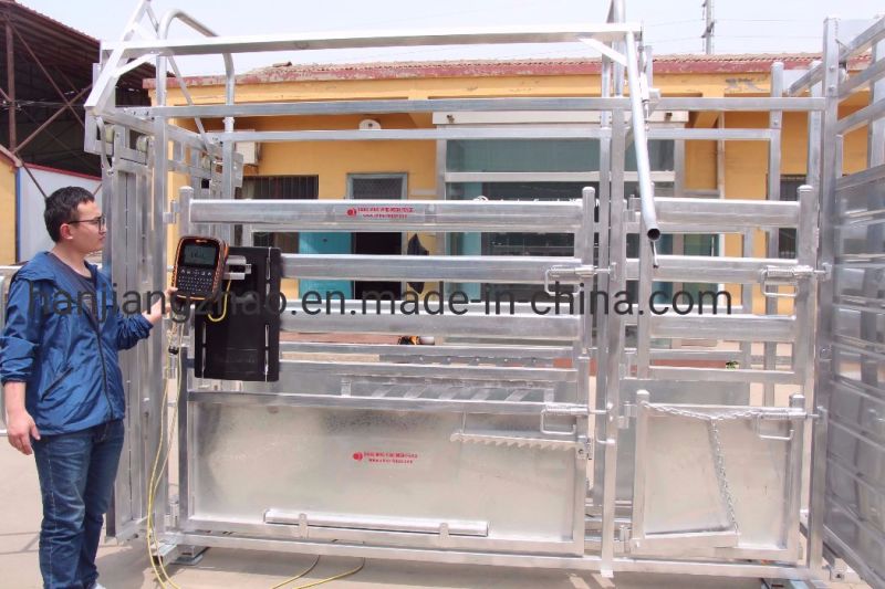 Cattle Panel, Horse Panels, Goat Panels, Sheep Panels and Hog Panels