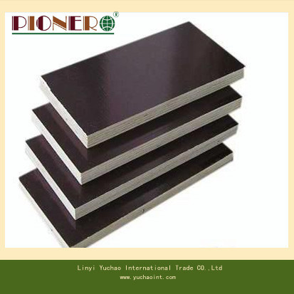 WBP Glue Shuttering Plywood Black Film Faced Plywood for Building/Construction