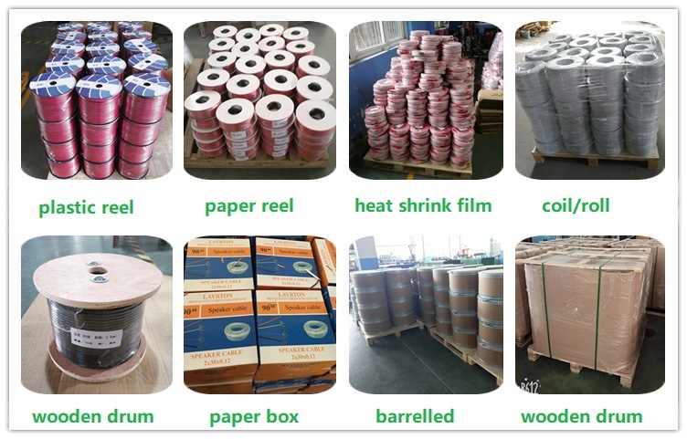 Single Core Heat Resistant Insulation 450 750 Electrical Wire
