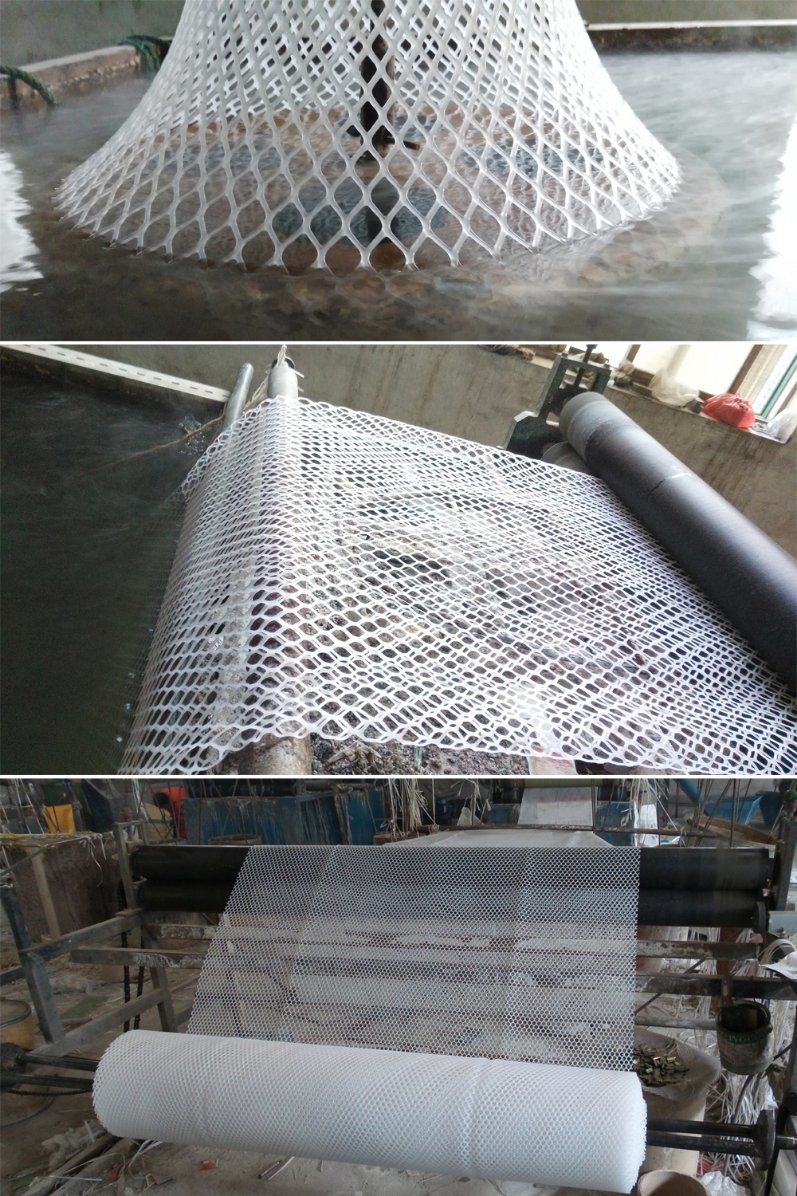 Plastic Mesh for Construction, PE Mesh for Building