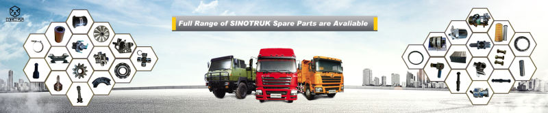 Sinotruk HOWO Truck Parts Left Garnish Plate